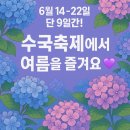 팬플루트(야간) | 2025 월아산 수국 수국 페스티벌 🌸 숲속에서 만나는 여름 수국 여행