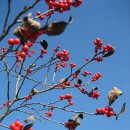 물향기 유치원 이미지