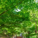 양천근린공원 이미지