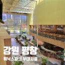 씨유(CU) 센텀파크점 | 평창 휘닉스파크 부대시설 사우나 놀거리