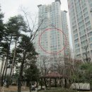 동탄푸른약국 이미지