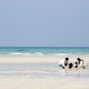 씨사이드모텔(시사이드모텔) 이미지