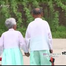 장터쇼핑