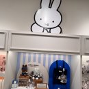 5월 3단 도시락꾸미기 | 미피스토어 서울 웨이팅 없이 다녀온 방문 후기 미피 굿즈 사진과 가격 포함