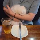 수원-0317 이미지