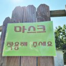 오션이니스프리