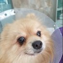 백슬동물병원 이미지