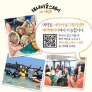 세화스테이 이미지