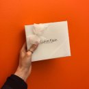 바이에잇 이미지