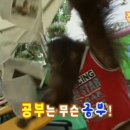 상일푸드 | 스트릿푸드파이터.스푸파