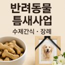 반려동물수제간식창업 이미지