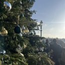 연신우리약국 | 나에겐 너무나 차가웠던 파리