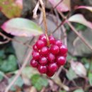 제주의휴일 이미지