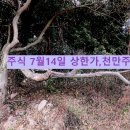 지더블유바이텍(주) 이미지