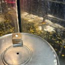 땡땡이양철집 이미지