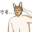 오투헬스존 이미지