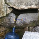 약수한방삼계탕 이미지