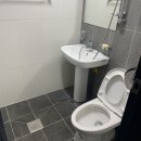 별밤펜션 이미지