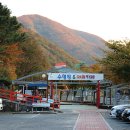 1박2일노래연습장 이미지