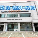 한양동물메디컬센터 이미지