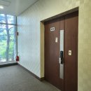 푸른숲리조트 | [하이원리조트 마운틴콘도 35평 후기] 푸른 숲 속에서 진짜 힐링했던 가족 여행