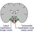 참맑은 한의원 이미지