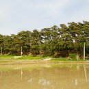 물야초등학교 이미지