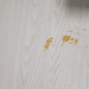 파라곤센트럴오션시티 이미지