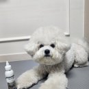 유경동물병원 이미지