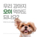 하샘펫푸드연구소 이미지