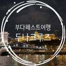 헝가리여행 부다페스트 유람선 두나크루즈 야경 후기