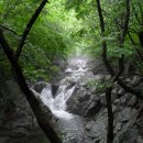 곰배령새소리 이미지