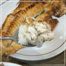 아이올래 이미지