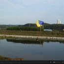 금호강영천 이미지