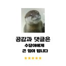 [국립중앙도서관 이용방법] 식당 편의점 카페 노트북, 도서대출, 주차정보 전부