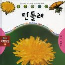 『한국의 야생화』 개인전 이미지