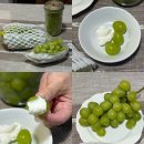 병권농장 | 입장포도 : 당도 높고 맛있는 병권네포도농원 샤인머스켓