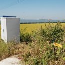 교동면 남산포 이미지