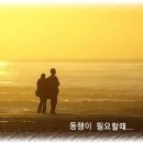 동행 이미지