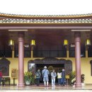 죽림농장 이미지