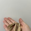 백령마트 | 운 지키미 후기-안 믿었는데 카드값이 진짜 줄었어요