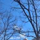 행복교육사 이미지