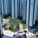 더퍼스트예미지 이미지