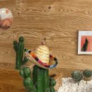 타코이야기 이미지