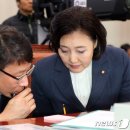 박영선 카카오 검색결과