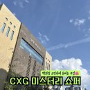 요즘 뜨는 시크릿 알바 CXG 미스터리 쇼퍼로 직장인 부업 시작| 1년차 후기 신청방법 수입 장단점 총정리