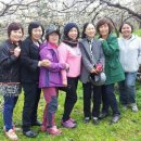 화산농원 이미지