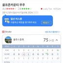 스톤스크린골프
