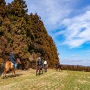 병기목장 이미지