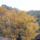 소백산마을농촌체험휴양마을 이미지